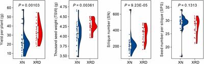 Transcriptomic analysis of rapeseed (Brassica napus. L.) seed development in Xiangride, Qinghai Plateau, reveals how its special eco-environment results in high yield in high-altitude areas